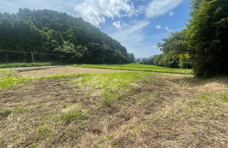 鴨川市の不動産情報